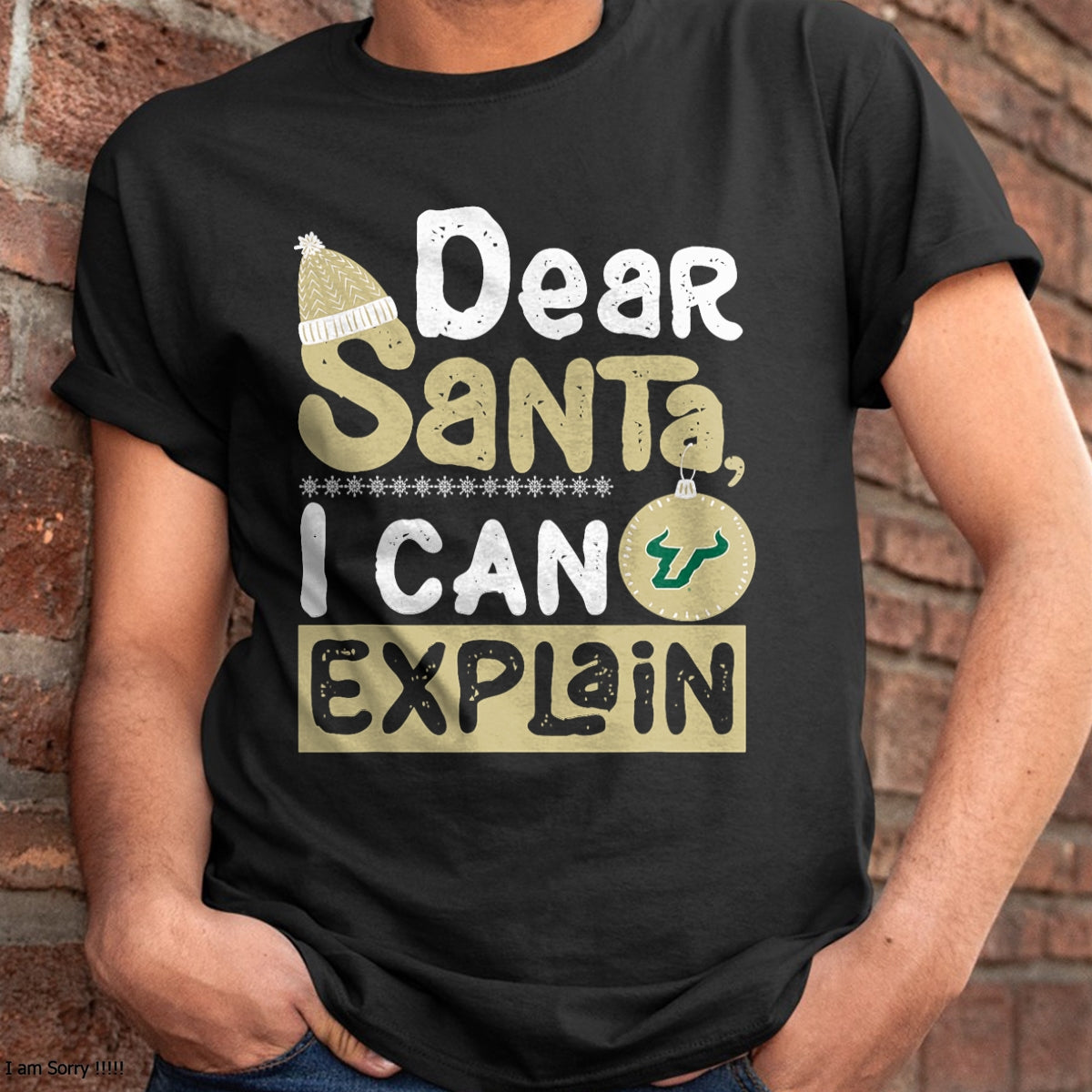Christmas Shirts for Family, Funny christmas shirts, Christmas Unisex T-Shirt/Hoodie/Sweatshirt HLT00 - South Florida Bulls Dear Santa Explain Funny Ugly Christmas T-Shirt