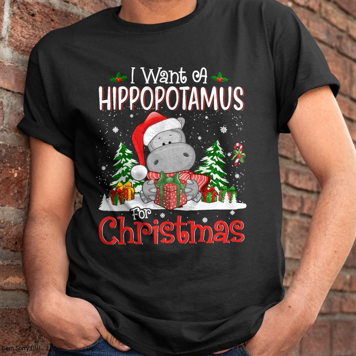 I Want A Hippopotamus For Christmas Xmas Hippo for Kid Women T-Shirt - Christmas Unisex T-Shirt/Hoodie/Sweatshirt - NINA00