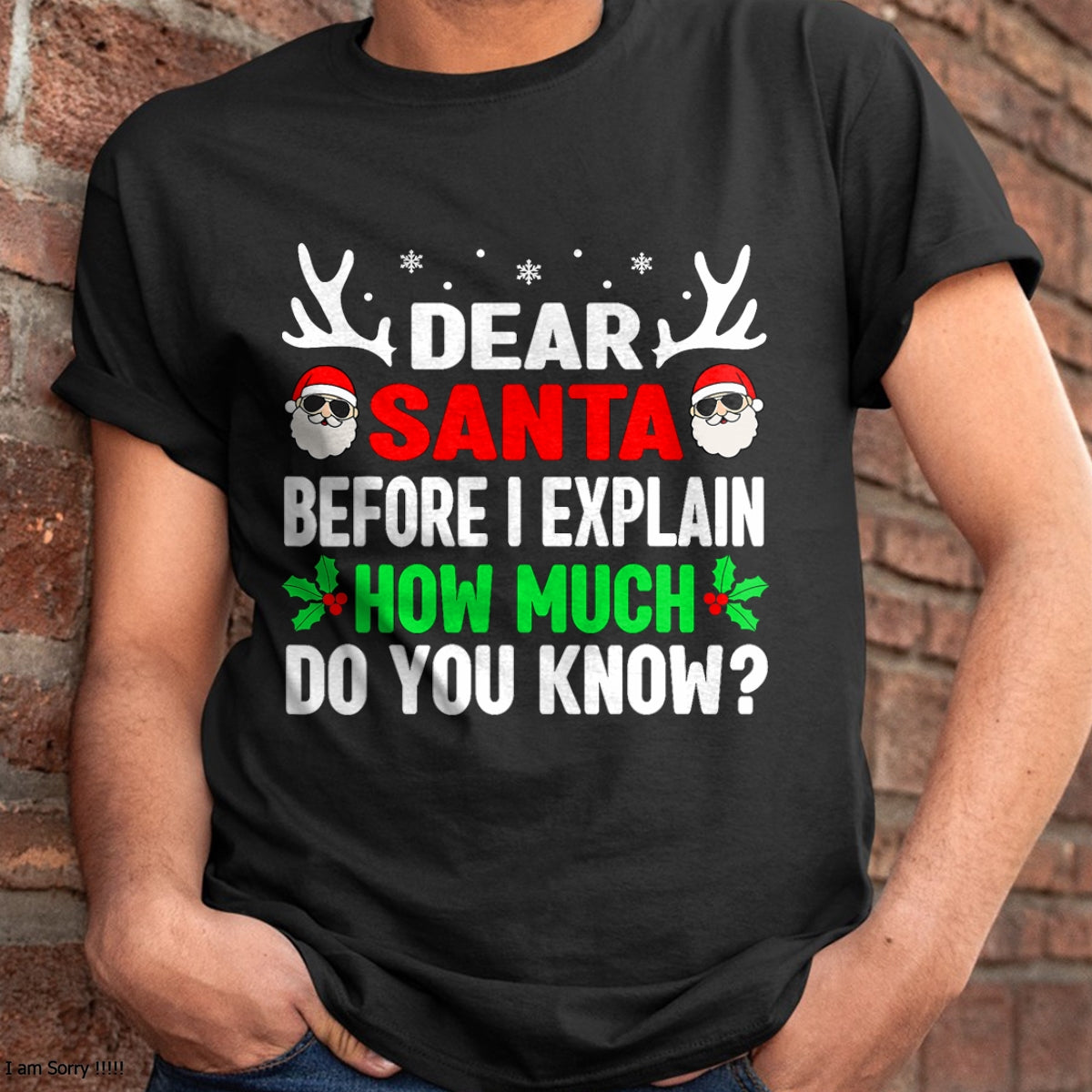 Funny Christmas Kids Adults Dear Santa I Can Explain T-Shirt - Christmas Unisex T-Shirt/Hoodie/Sweatshirt - NINA00