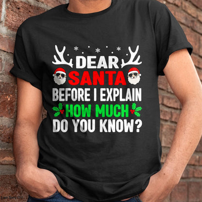 Funny Christmas Kids Adults Dear Santa I Can Explain T-Shirt - Christmas Unisex T-Shirt/Hoodie/Sweatshirt - NINA00