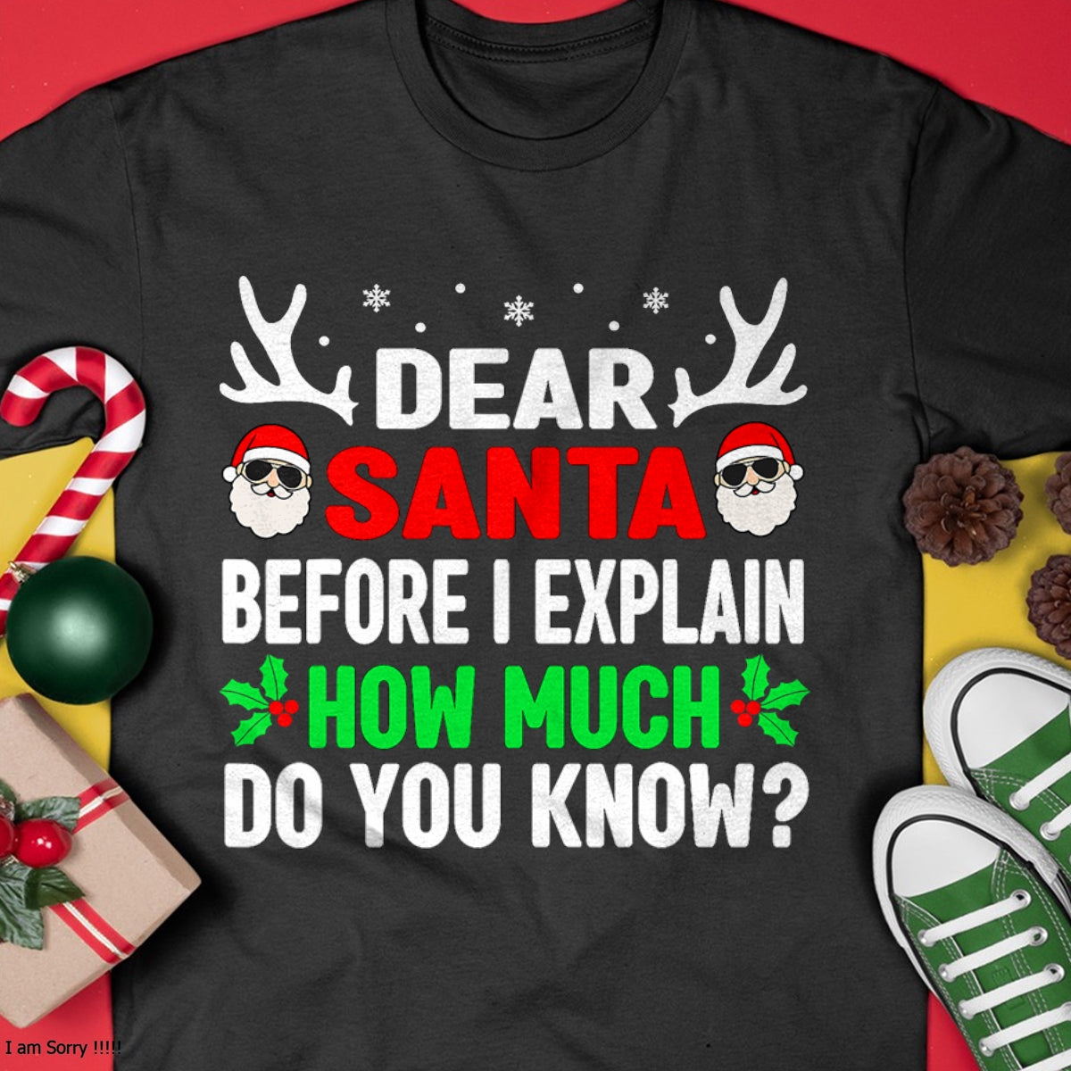 Funny Christmas Kids Adults Dear Santa I Can Explain T-Shirt - Christmas Unisex T-Shirt/Hoodie/Sweatshirt - NINA00