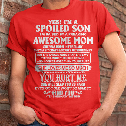 February - Awesome Mom - Perfect Gift For Your Spoiled Son From Mom - NINA02 (SKU05-47-02)