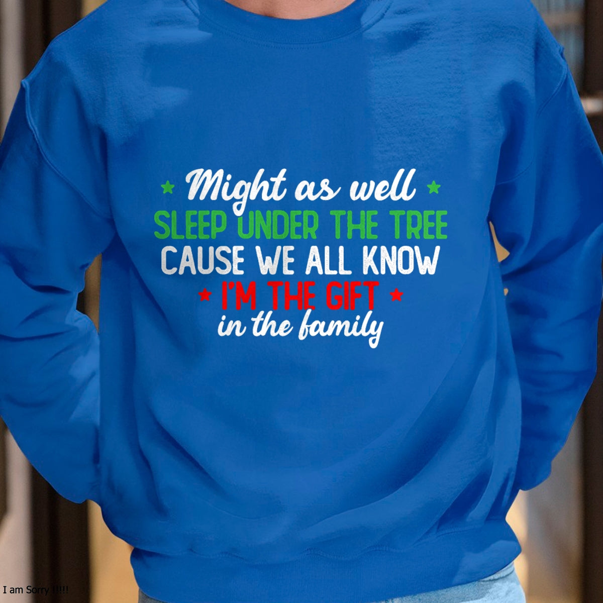 Christmas Humor Men Women Favorite Person Funny Christmas T-Shirt - Christmas Unisex T-Shirt/Hoodie/Sweatshirt - NINA00