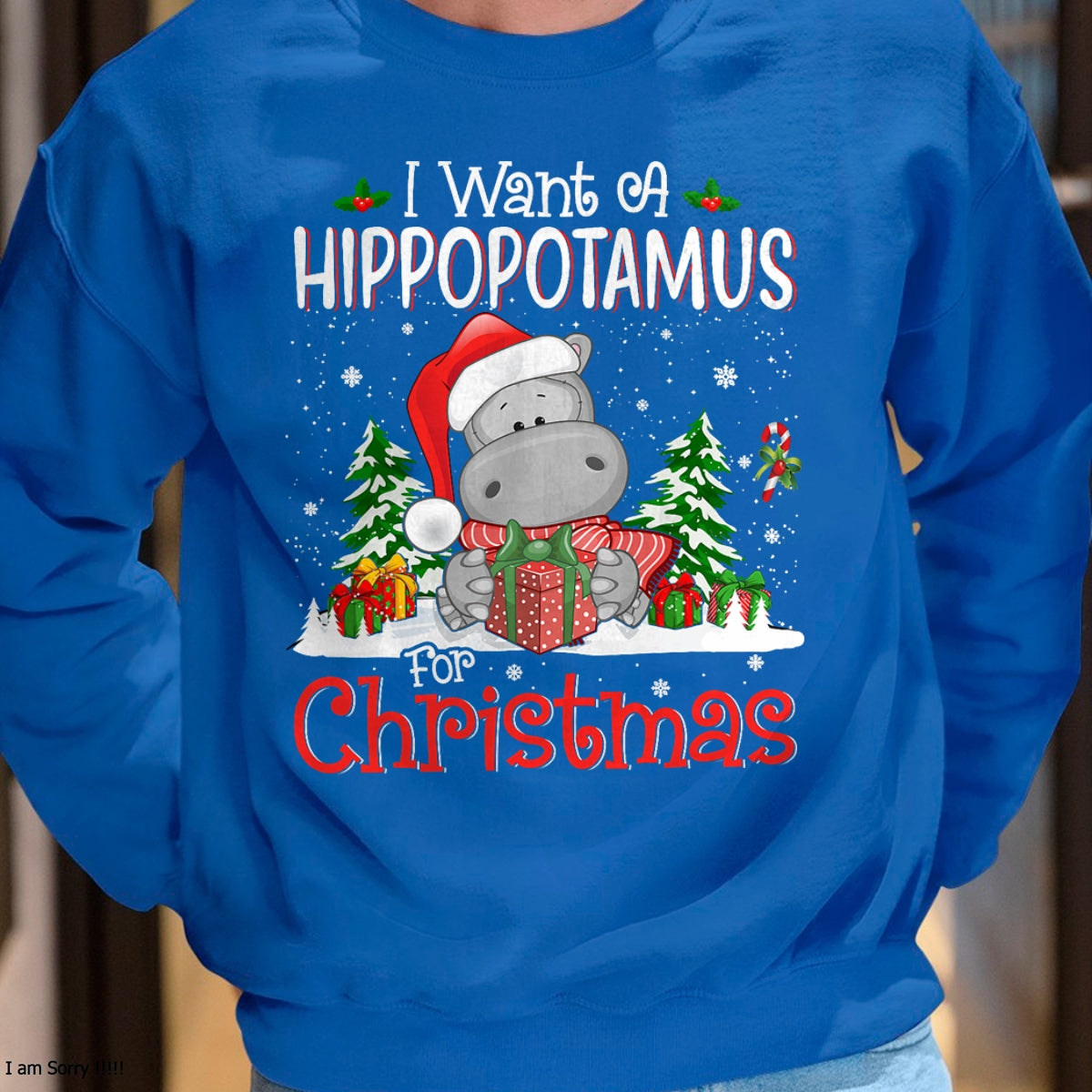 I Want A Hippopotamus For Christmas Xmas Hippo for Kid Women T-Shirt - Christmas Unisex T-Shirt/Hoodie/Sweatshirt - NINA00