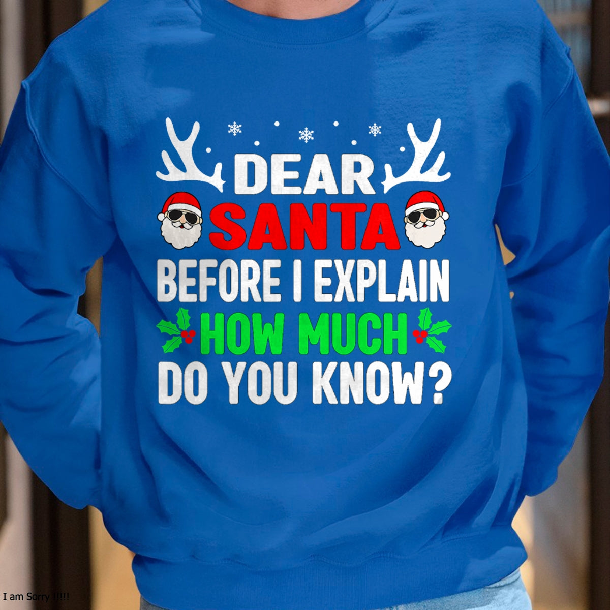 Funny Christmas Kids Adults Dear Santa I Can Explain T-Shirt - Christmas Unisex T-Shirt/Hoodie/Sweatshirt - NINA00