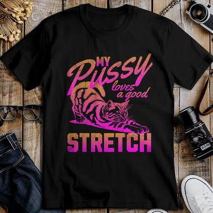 Cat Love Shirt, Funny Cat Lover Gift UnisexT-Shirt/Hoodie/Sweatshirt HLT00 - My Pussy Love A Good Stretch Funny Vintage T-Shirt
