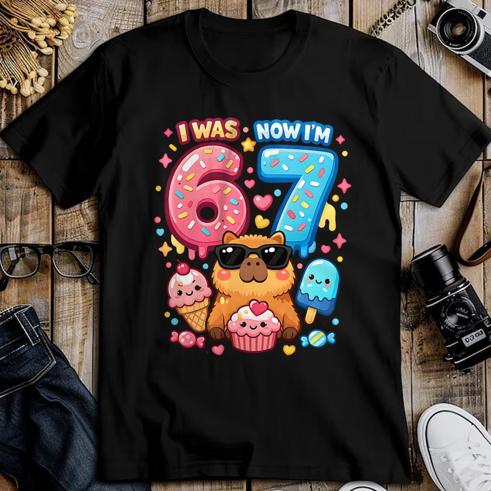 Cute Capybara Shirt, Funny Capybara Unisex T-Shirt/Hoodie/Sweatshirt HLT00 - I was 6 Now I_m 7 Birthday 67 Meme Capybara Ice Cream Kawaii T-Shirt