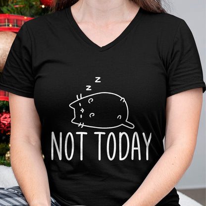 Cat Love Shirt, Funny Cat Lover Gift UnisexT-Shirt/Hoodie/Sweatshirt HLT00 - Not Today Crazy Cat T-Shirts Graphic Cute Funny T-Shirt, Men, Black, 4X-Large
