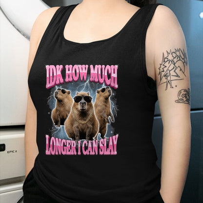 Cute Capybara Shirt, Funny Capybara Unisex T-Shirt/Hoodie/Sweatshirt HLT00 - IDK How Much Longer I Can Slay T-Shirt