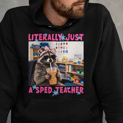 Best Teacher Shirt, Funny Teacher UnisexT-Shirt/Hoodie/Sweatshirt HLT00 - Literally Just A Sped Teacher Raccoon T-Shirt (1)