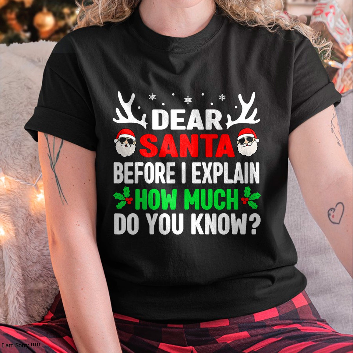 Funny Christmas Kids Adults Dear Santa I Can Explain T-Shirt - Christmas Unisex T-Shirt/Hoodie/Sweatshirt - NINA00