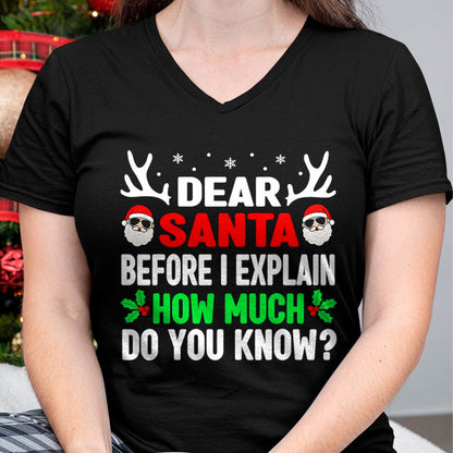 Funny Christmas Kids Adults Dear Santa I Can Explain T-Shirt - Christmas Unisex T-Shirt/Hoodie/Sweatshirt - NINA00