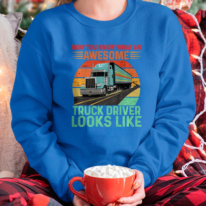 Best Truck Driver Life Shirt, Funny Trucker UnisexT-Shirt/Hoodie/Sweatshirt HLT00 - Awesome Truck driver Trucker Design For Men Truck Driver Premium Tri-blend T-Shirt