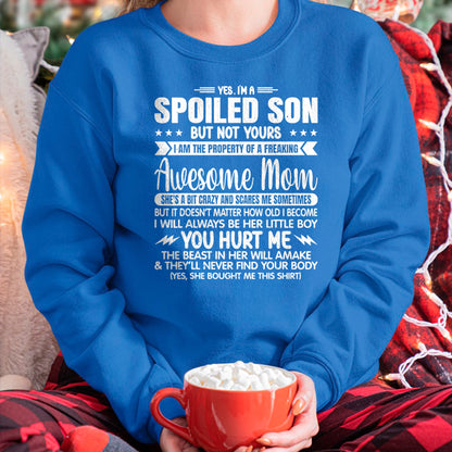 Gift for Mom Shirt, Funny Mom Unisex T-Shirt/Hoodie/Sweatshirt HLT00 - I'm A Spoiled Son But Not Yours Freaking Awesome Mom Vintage T-Shirt