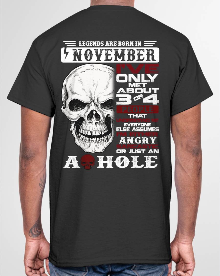 NOVEMBER – I’VE MET ABOUT 3 OR 4 PEOPLE WHO UNDERSTAND ME – MAN TEE - NINA11 (SKU10-16-11)