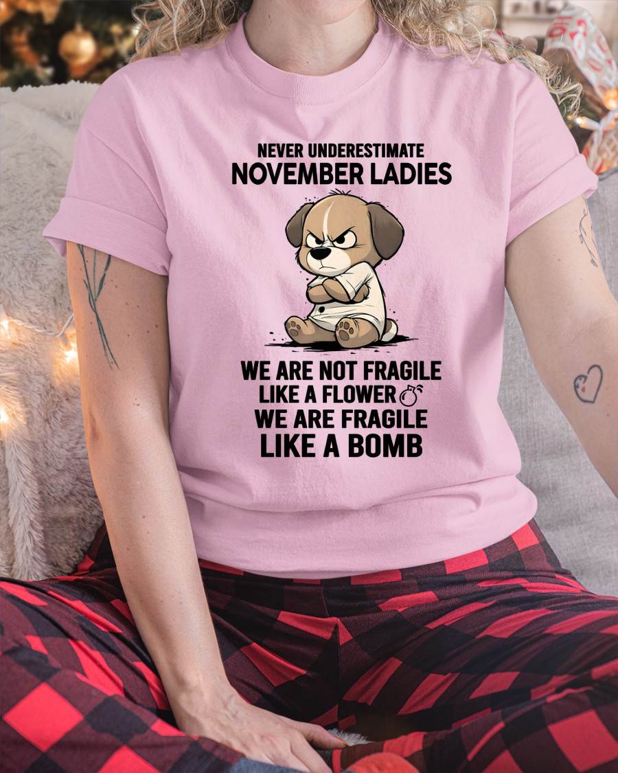 NOVEMBER - WE ARE NOT FRAGILE LIKE A FLOWER WE ARE FRAGILE LIKE A BOMB - FMA - NINA11 (SKU2603-351-11)
