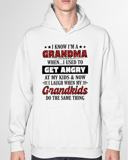 KNOW I'M A GRANDMA WHEN... I USED TO GET ANGRY AT MY KIDS & NOW I LAUGH WHEN MY GRANDKIDS DO THE SAME THING - from grandma NINA00 (SKU07-111)