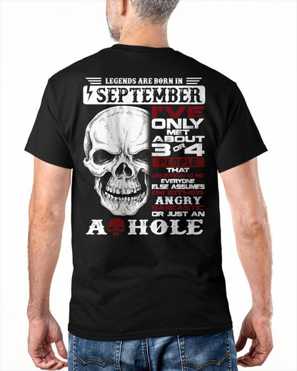 SEPTEMBER – I’VE MET ABOUT 3 OR 4 PEOPLE WHO UNDERSTAND ME – MAN TEE - NINA09 (SKU10-16-09)